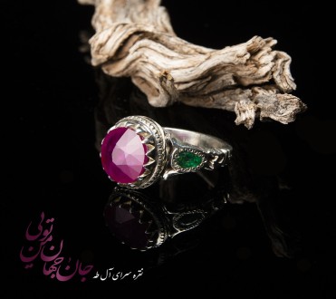 Portfolio Additional Image