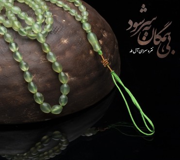 Portfolio Additional Image
